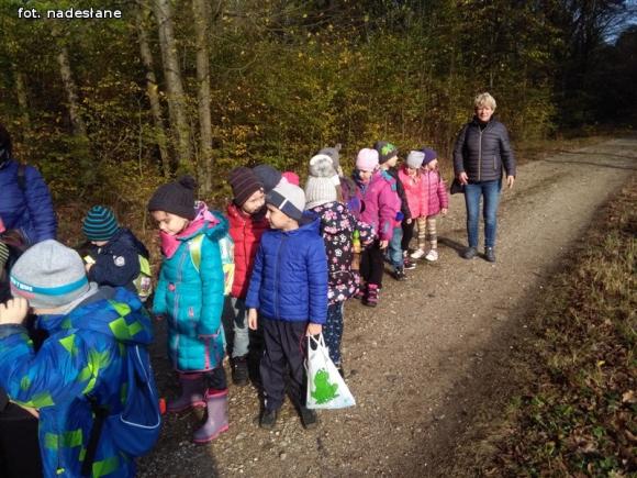 Przedszkolaki na ścieżce edukacyjnej w raciborowskim lesie