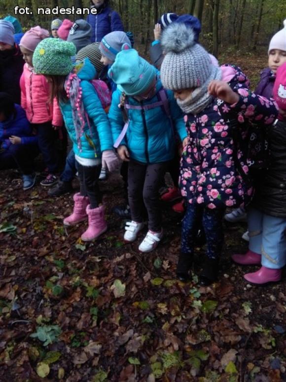 Przedszkolaki na ścieżce edukacyjnej w raciborowskim lesie
