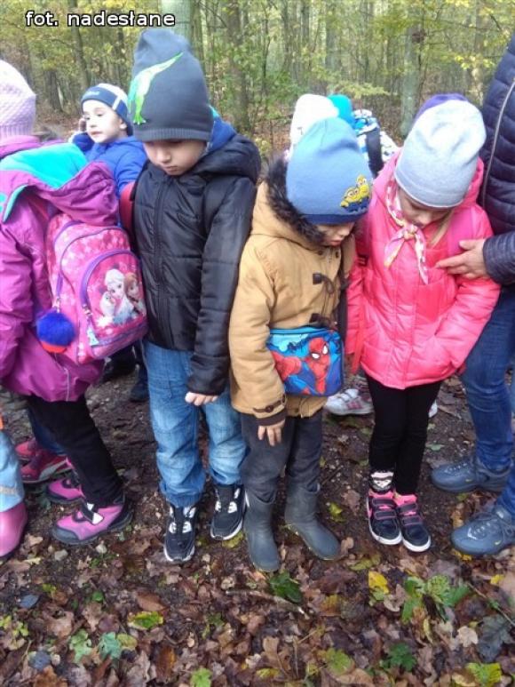 Przedszkolaki na ścieżce edukacyjnej w raciborowskim lesie