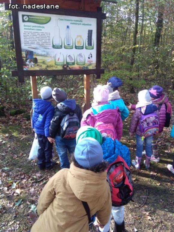 Przedszkolaki na ścieżce edukacyjnej w raciborowskim lesie