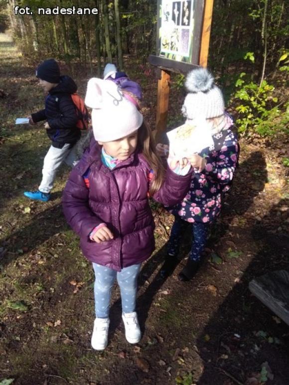 Przedszkolaki na ścieżce edukacyjnej w raciborowskim lesie