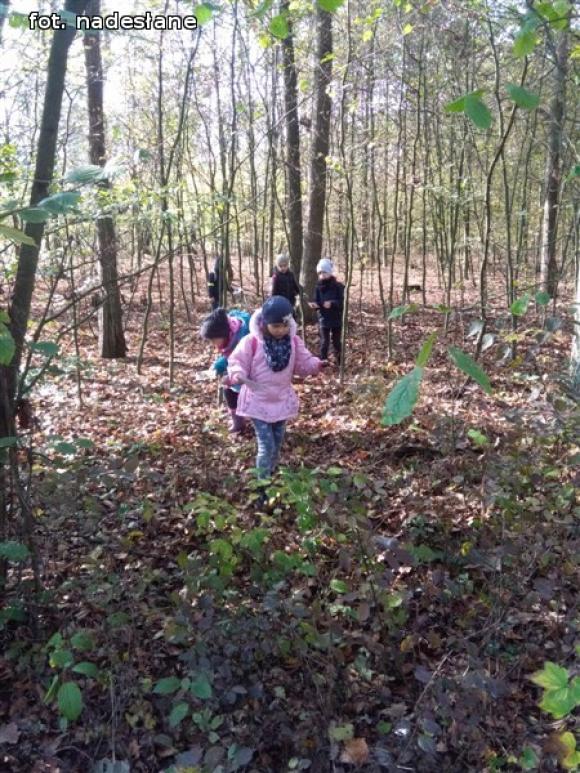 Przedszkolaki na ścieżce edukacyjnej w raciborowskim lesie