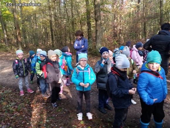 Przedszkolaki na ścieżce edukacyjnej w raciborowskim lesie