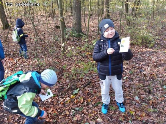 Przedszkolaki na ścieżce edukacyjnej w raciborowskim lesie