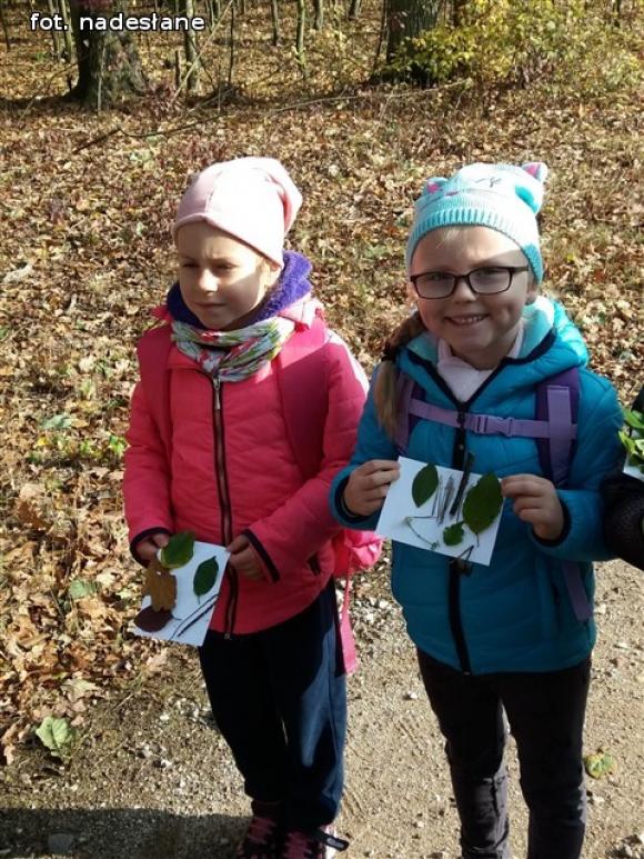Przedszkolaki na ścieżce edukacyjnej w raciborowskim lesie