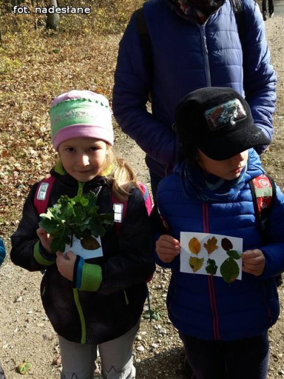 Przedszkolaki na ścieżce edukacyjnej w raciborowskim lesie