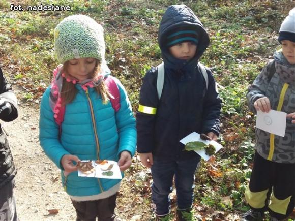 Przedszkolaki na ścieżce edukacyjnej w raciborowskim lesie