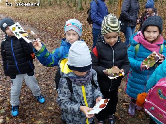 Przedszkolaki na ścieżce edukacyjnej w raciborowskim lesie