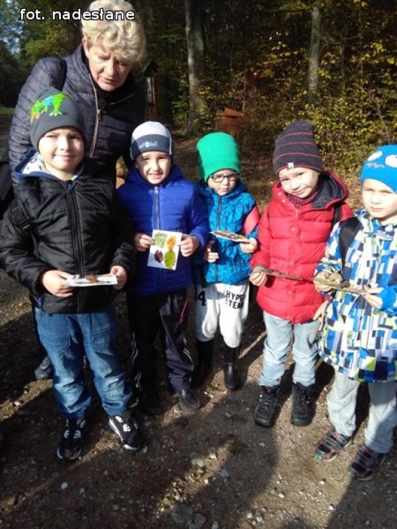 Przedszkolaki na ścieżce edukacyjnej w raciborowskim lesie