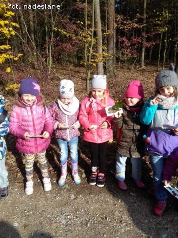 Przedszkolaki na ścieżce edukacyjnej w raciborowskim lesie