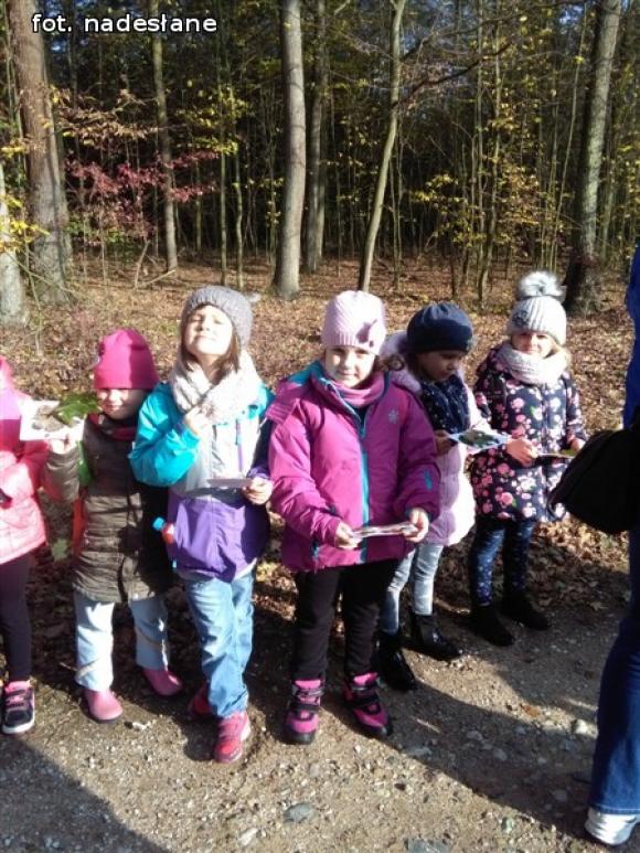 Przedszkolaki na ścieżce edukacyjnej w raciborowskim lesie