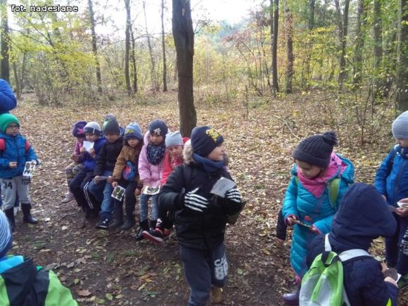Przedszkolaki na ścieżce edukacyjnej w raciborowskim lesie