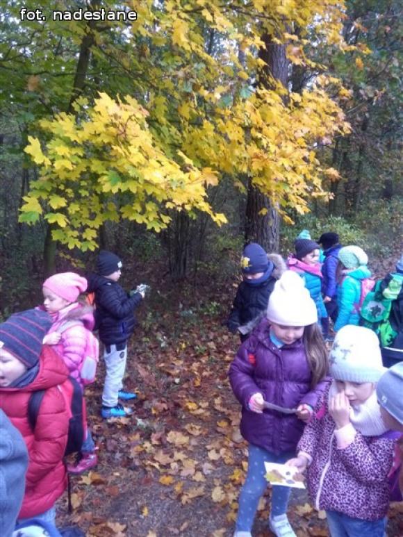 Przedszkolaki na ścieżce edukacyjnej w raciborowskim lesie