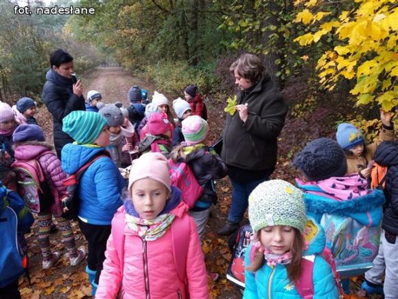 Przedszkolaki na ścieżce edukacyjnej w raciborowskim lesie