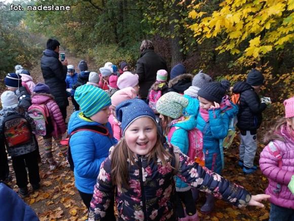 Przedszkolaki na ścieżce edukacyjnej w raciborowskim lesie