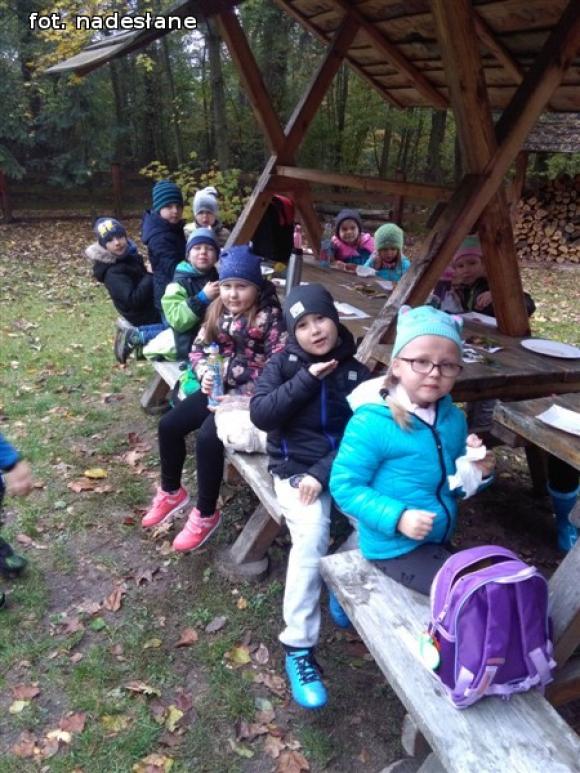 Przedszkolaki na ścieżce edukacyjnej w raciborowskim lesie