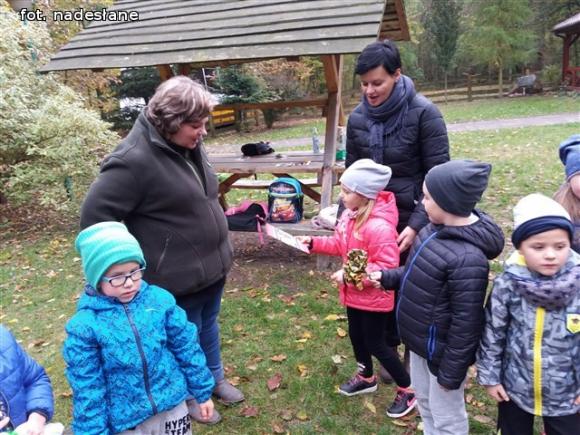 Przedszkolaki na ścieżce edukacyjnej w raciborowskim lesie
