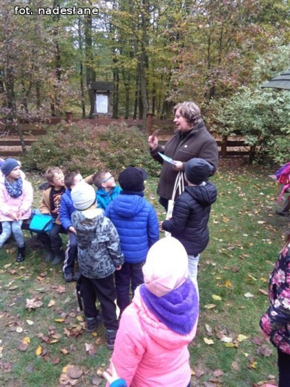 Przedszkolaki na ścieżce edukacyjnej w raciborowskim lesie
