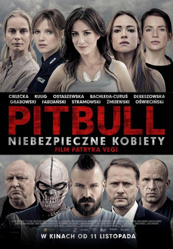 Królestwo, Przełęcz ocalonych i Pitbull. Listopad w Kinie KDK