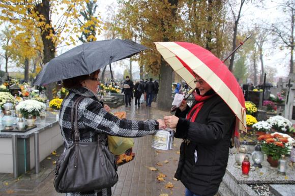 Podsumowanie kwesty TPZK na cmentarzu w Krośniewicach