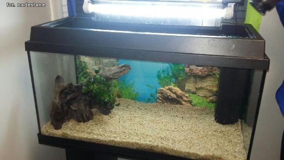 Święty Mikołaj już był w DoMOStwie. Dzieje się w Żychlinie :)