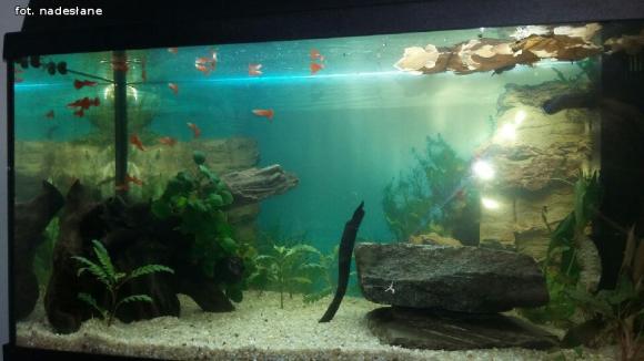 Święty Mikołaj już był w DoMOStwie. Dzieje się w Żychlinie :)