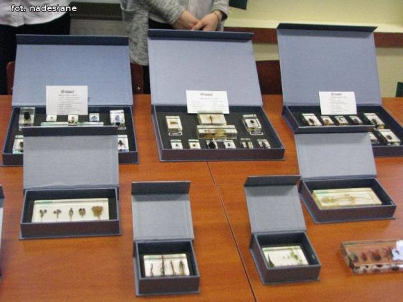 Otwarcie eko-pracowni w 