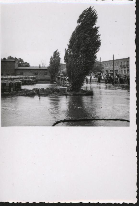 Świadek czasu, światło prawdy/Było i nie minie. Wielka woda w Kutnie