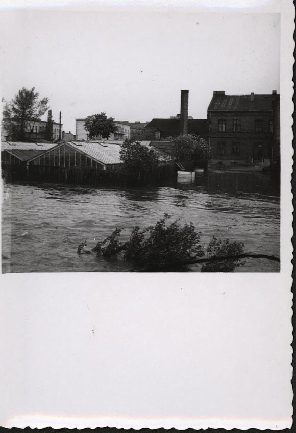 Świadek czasu, światło prawdy/Było i nie minie. Wielka woda w Kutnie