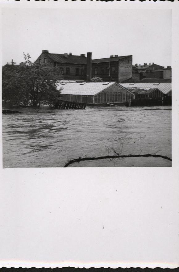 Świadek czasu, światło prawdy/Było i nie minie. Wielka woda w Kutnie