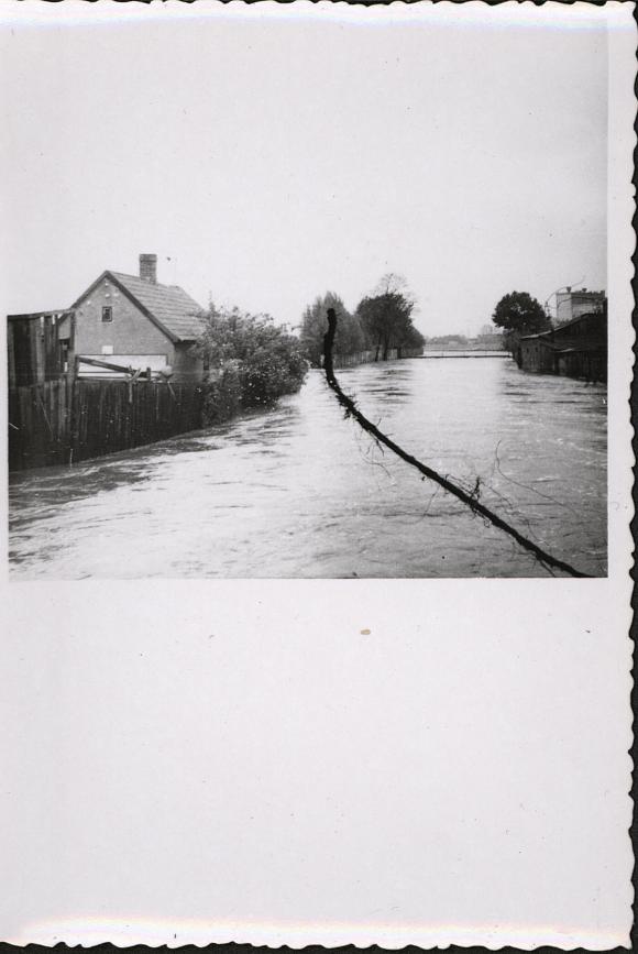 Świadek czasu, światło prawdy/Było i nie minie. Wielka woda w Kutnie