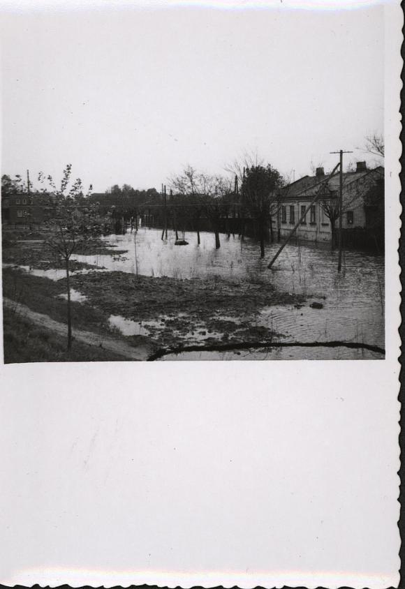 Świadek czasu, światło prawdy/Było i nie minie. Wielka woda w Kutnie