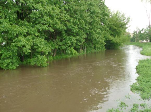Świadek czasu, światło prawdy/Było i nie minie. Wielka woda w Kutnie