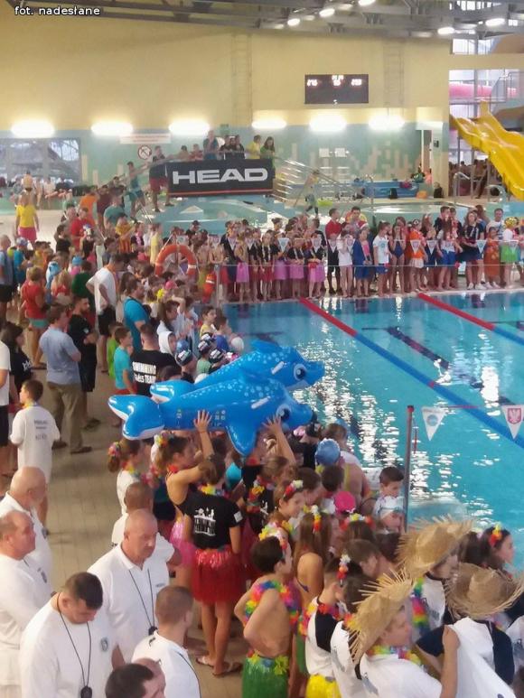 Nasi pływacy na  Pucharze Sprintu w Ostrołęce