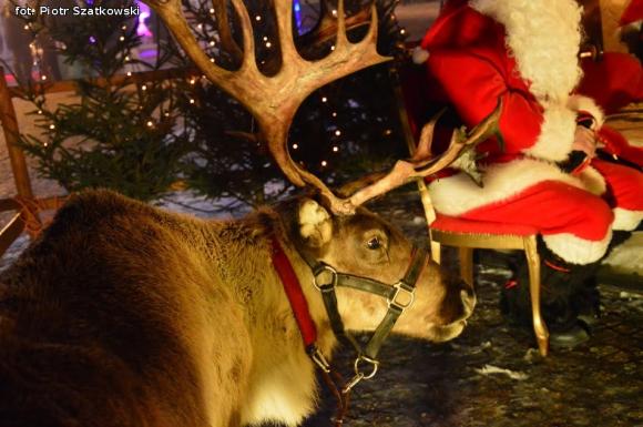 Za nami Wigilia Miejska