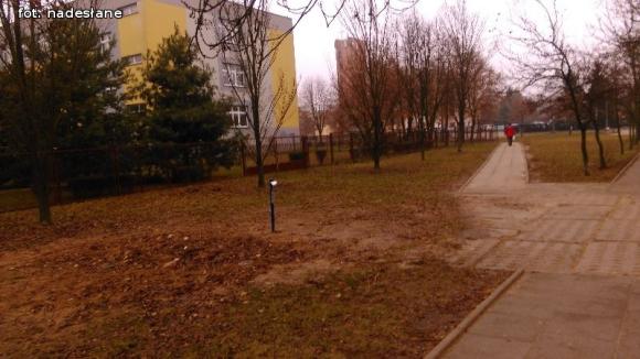 Interpelacja radnego miejskiego: Przy 