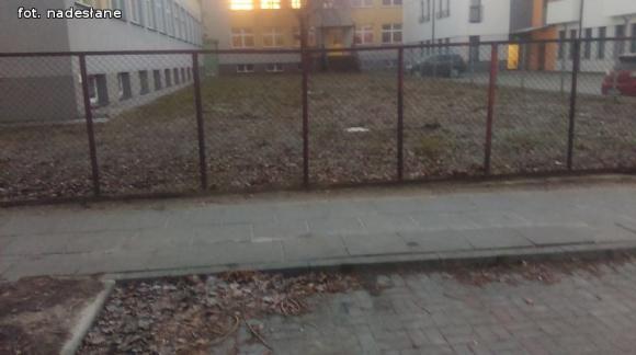 Interpelacja radnego miejskiego: Przy 