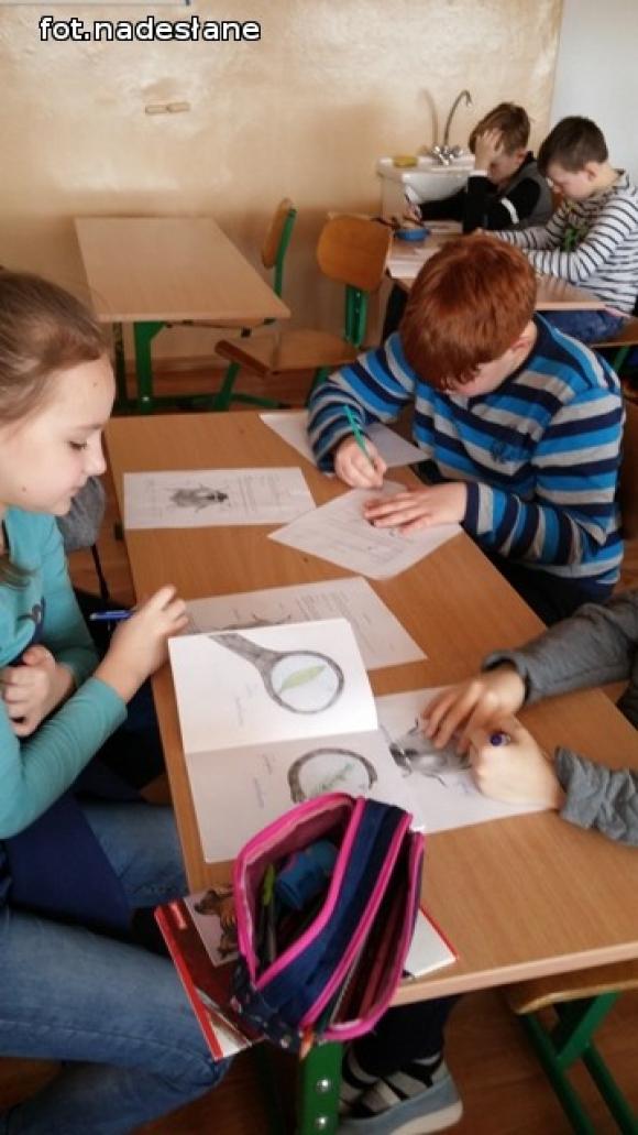 Mali Einsteini Szkoły Podstawowej nr 6 w Kutnie