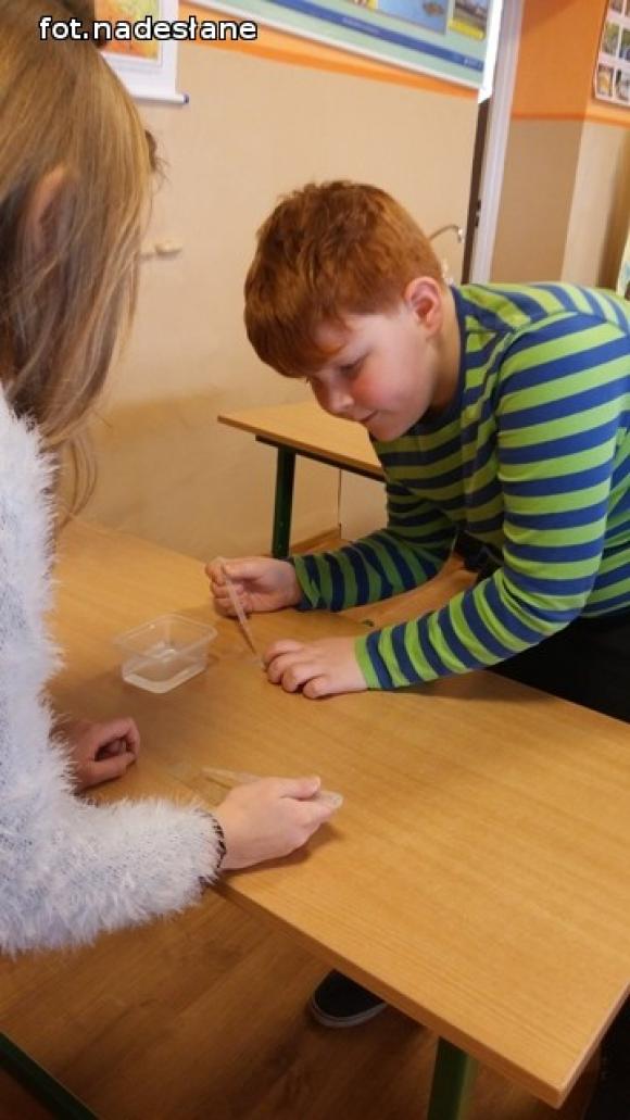 Mali Einsteini Szkoły Podstawowej nr 6 w Kutnie