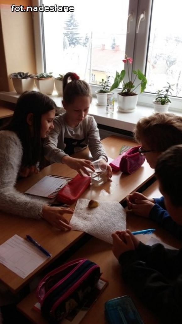 Mali Einsteini Szkoły Podstawowej nr 6 w Kutnie