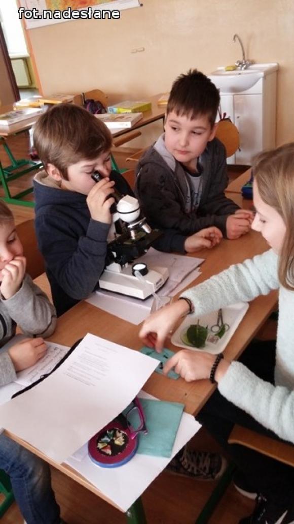 Mali Einsteini Szkoły Podstawowej nr 6 w Kutnie