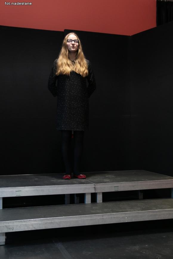 Festiwal Frankofonii: Konkurs recytatorski Mały Książę