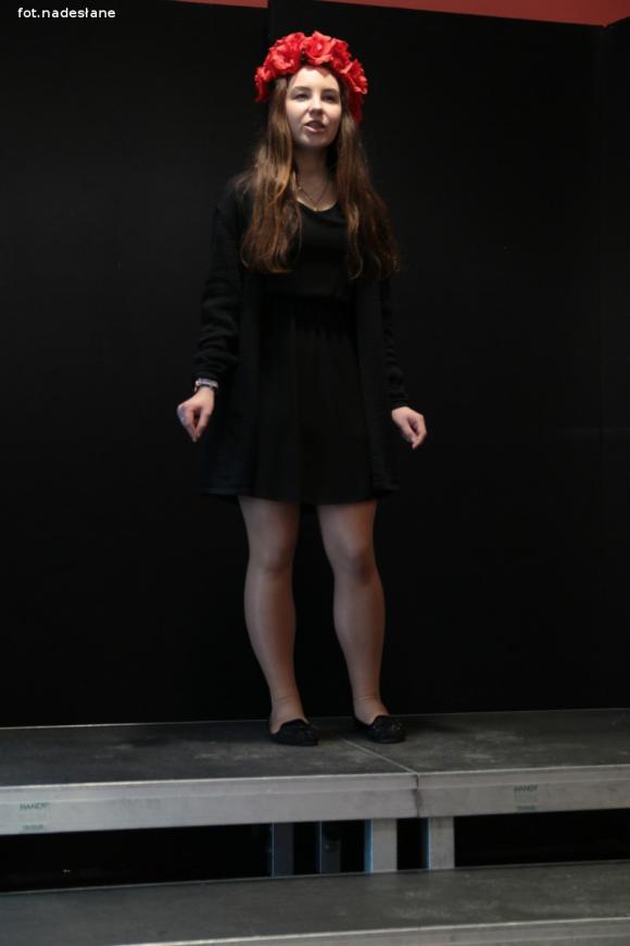 Festiwal Frankofonii: Konkurs recytatorski Mały Książę