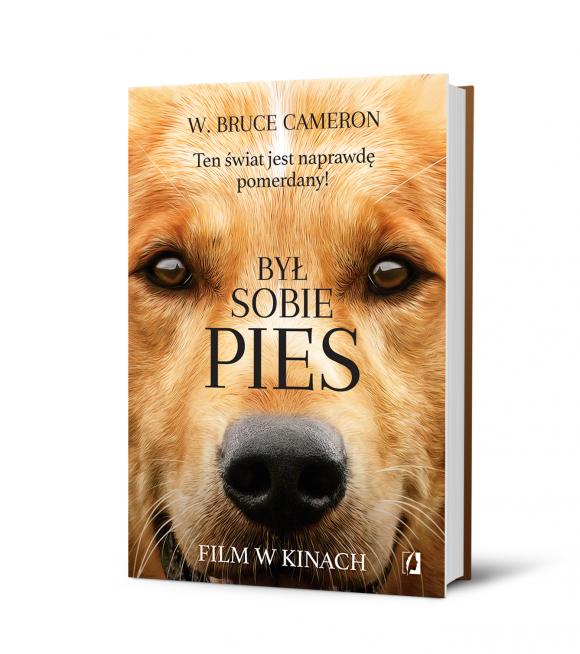 Kino KDK zaprasza w marcu: Kong Wyspa czaszki,  Zerwany kłos, Maria Skłodowska Curie, Porady na zdrady