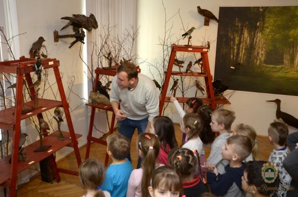 Obejrzyj Wystawę Ptaki wokół nas