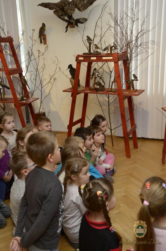 Obejrzyj Wystawę Ptaki wokół nas