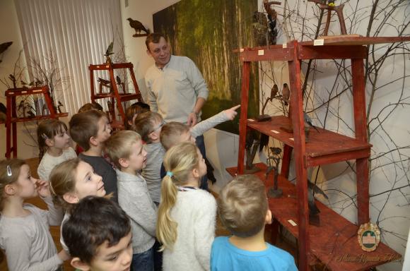 Obejrzyj Wystawę Ptaki wokół nas