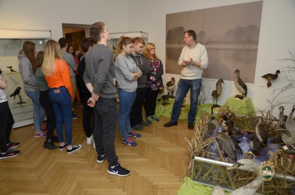 Obejrzyj Wystawę Ptaki wokół nas
