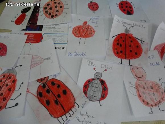 Strzegocin dla Oliwii