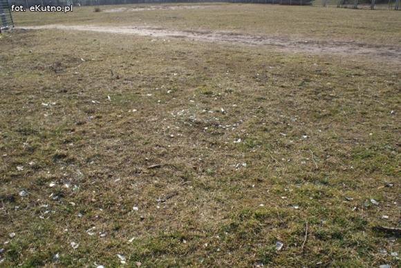 Miejskie obrazki. Panie prezydencie i panie prezesie idzie wiosna, trzeba posprzątać